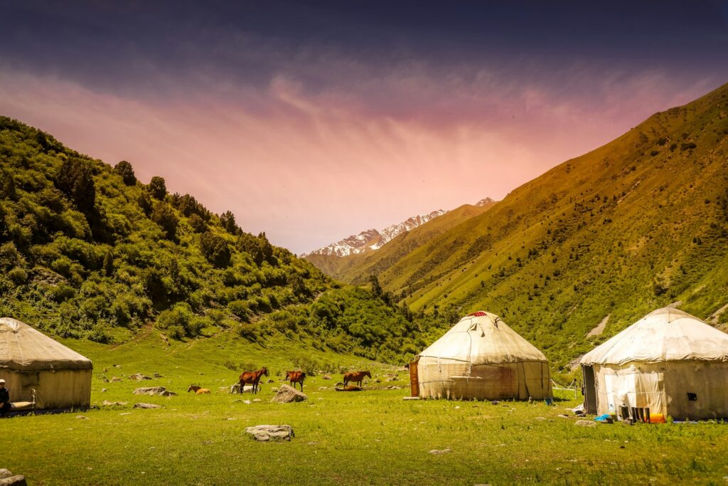 green grass field near green mountains during daytime